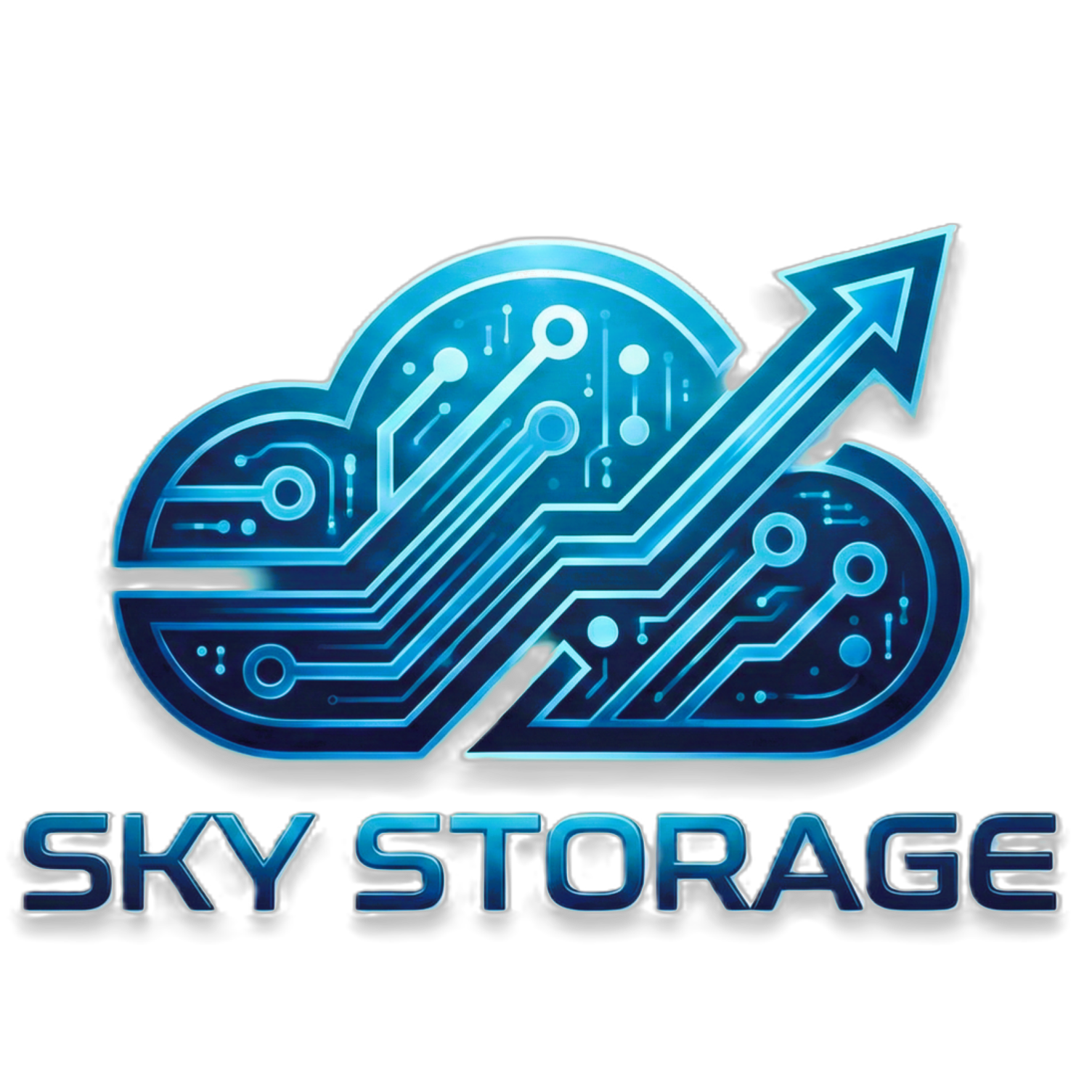 Sky Storage Logo